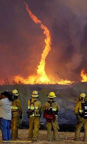 Fire Tornado | Fire Tornado | leahsweather Fire Tornado, Wow Photo, Wildland Fire, Wildland Firefighter, Wild Weather, California Wildfires, Natural Phenomena, Photo Images, Science And Nature