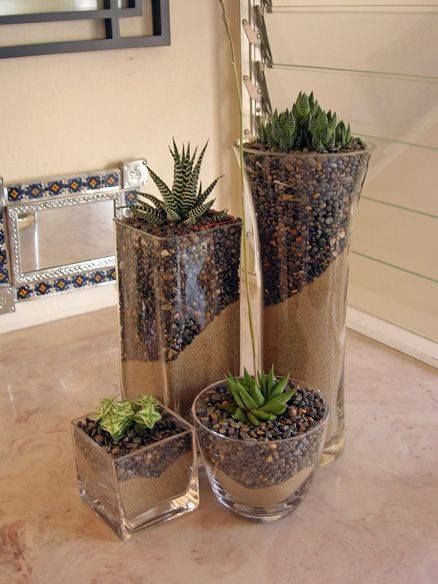 نباتات منزلية, Succulent Soil, Succulent Gardening, Succulent Terrarium, Succulent Arrangements, Cactus Garden, Deco Floral, Succulent Garden, Garden Soil