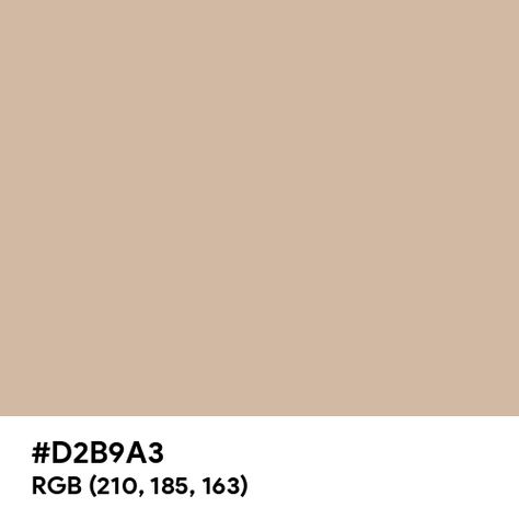 Cane Sugar color hex code is #D2B9A3 Paint For Kitchen Walls, Split Complementary Colors, Split Complementary, Rgb Color Wheel, Rainbow Palette, Web Colors, Hex Color Codes, Hex Codes, Paint Colour