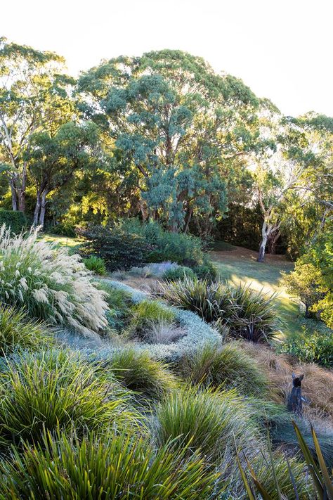 Backyard Plans, Australian Garden Design, Country Garden Design, Bush Garden, Tattoo Plant, Australian Native Garden, Haus Am See, Budget Garden, Dry Garden