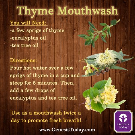 Thyme Witch Craft, Mouthwash Diy, Natural Recipes, Essential Oil Remedy, Oil Remedies, Witch Craft, Eucalyptus Oil, Save Earth, Homeopathy