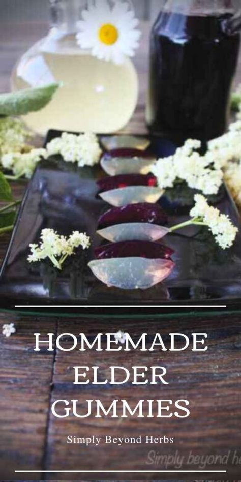 Homemade Elderberry gummies Elderberry Benefits, Homemade Medicine, Homemade Elderberry, Elderberry Recipes, Gummies Recipe, Elderberry Gummies, Tonic Recipe, Recipe Cover, Herb Recipes