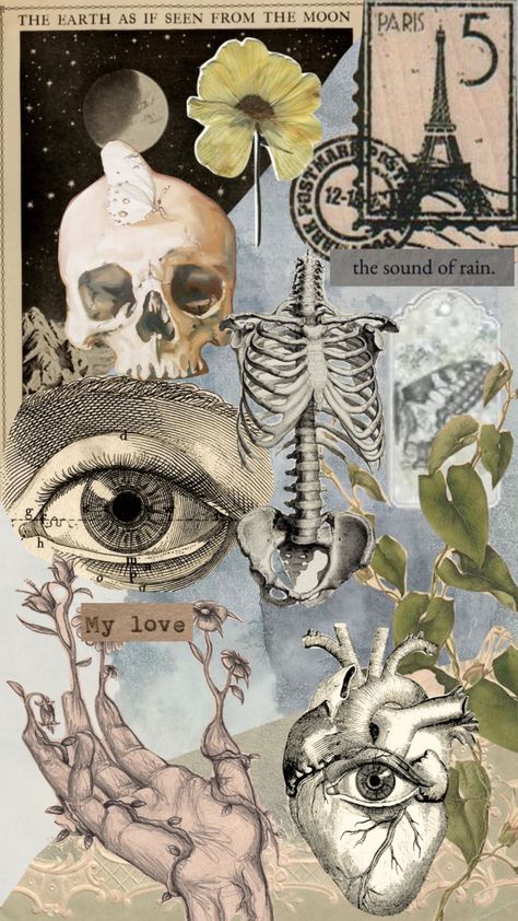 #moodboard #vintage #collage #aesthetic #aesthetics #love #skull #green Natural Forms Gcse, Vintage Collage Aesthetic, Gcse Art Sketchbook, Architecture Drawing Art, Vintage Skull, Vintage Collage, Collage Design, Book Art Drawings, Natural Forms