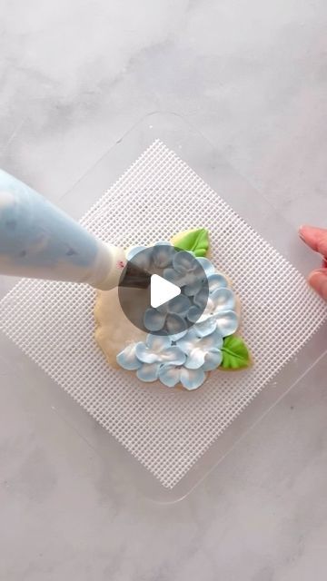 Mary Mansfield on Instagram: "I haven’t shared in a while, but as a nod to the last of my hydrangeas which will be gone soon, I thought I’d share hydrangea video. Something as simple as loading your bag with two colors can add so much realism to your florals. You can see the challenge of trying to twist my wrist in such a way as to aid in layering the petals, not to mention that my hand was trembling a bit due to squeezing this very full bag,?but it all came together in the end.   This was a very large order for a bridal shower and each guest received two cookies in a small clear box at their place setting. Doesn’t that sound lovely? Cookies make the perfect thank you gift.   Petal tip #103  #cookievideo  #cookiedecoratingvideo  #royalicingcookies  #decoratedcookies  #hydrangeacookies  #hy Hydrangea Cookie, Cookie Videos, Clear Box, Flower Cookies, Royal Icing Cookies, Custom Cookies, Place Setting, In The End, The Challenge