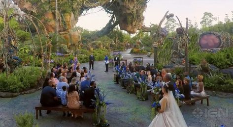 Disney Hosts First Ever Wedding in ‘Pandora - The World of Avatar’ Disney World Pandora, Disneyworld Wedding, Avatar Wedding, Disney Avatar, Pandora Wedding, Disney World Wedding, Disneyland Castle, Disney Weddings, Disney Fairy Tale Weddings