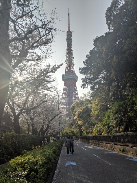 Tokyo Spring, Tokyo Tower, Japan Photo, Tokyo, Tower, Japan