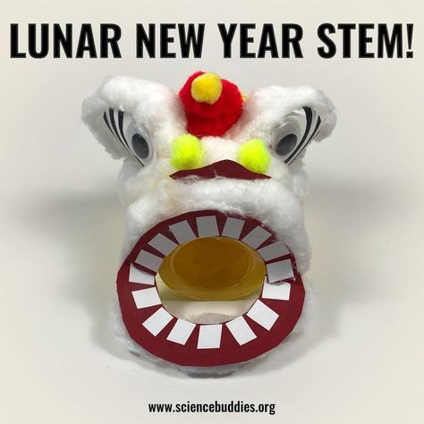 Plan one of these simple and creative K-12 #STEM activities for Lunar New Year. This vortex air cannon is made from a recycled container and a balloon! School Science Experiments, Air Cannon, Steam Challenges, Stem Experiments, Engineering Activities, Engineering Design Process, New Year Planning, Steam Projects, Steam Activities