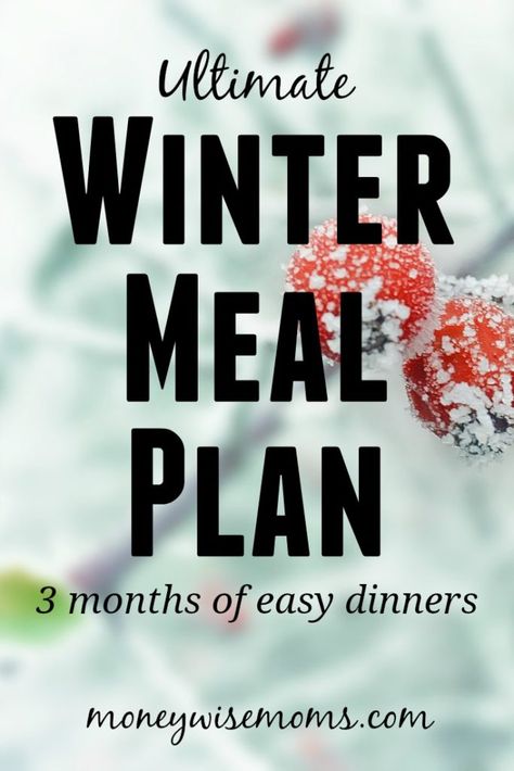 Winter Meal Plan, Winter Party Foods, Recipes For 2, Meal Planning Board, Peppermint Recipes, Plane Food, Meal Planning Menus, Monthly Meal Planning, Healthy Recipes On A Budget