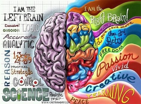 I am right brain dominant with high left leanings too---almost both~ Left Vs Right Brain, Left Brain Right Brain, Brain Illustration, The Human Brain, रोचक तथ्य, Right Brain, Buzzfeed Quizzes, Human Brain, Neurology