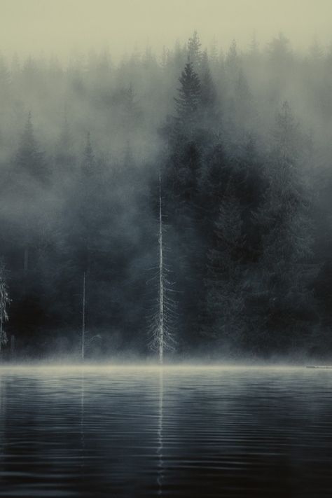 In het verhaal komt een grote mistwolk voor. Die verscheen toen Sam pizza ging halen omdat hij weer alleen thuis was. Door de mist was iedereen weg alleen Sam en een handvol andere mensen waren er nog. Foggy Forest, Foto Art, Whistler, Pics Art, In The Woods, Nature Beauty, Beautiful World, Mother Nature, Beautiful Photo