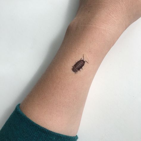 Doodle bugs Beatle Bug Tattoos, Doodle Bug Tattoo, Earwig Tattoo, Beetle Tattoo Small, Bug Finger Tattoo, Pillbug Tattoo, Bug Sleeve Tattoo, Potato Bug Tattoo, Rollie Pollie Tattoo