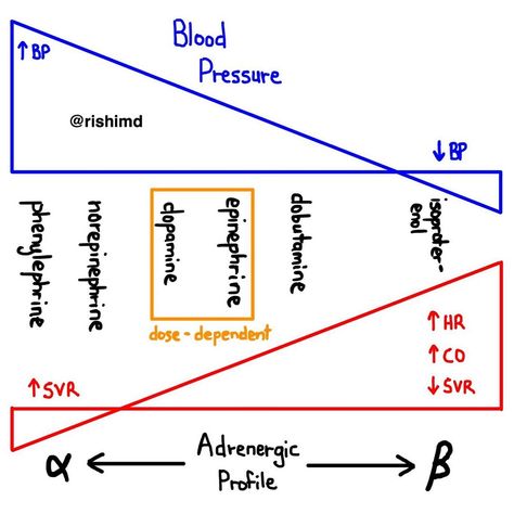 Medical Studies, Critical Care, Line Chart, Medical, Google Search, On Instagram, Instagram