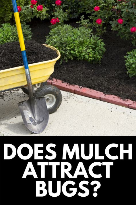 Instead Of Mulch What To Use, Mulch Glue Diy, Garden Mulch Ideas, Mulch Landscaping Ideas Front Yard, Diy Mulch, Christmas Makeup Looks Simple, Christmas Eyeliner, Creative Christmas Makeup, Mulch Alternatives