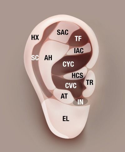 TCM Acupuncture Points Major Charts | Master Tung's Acupuncture | eLotus CORE Acupuncture Points Chart, Acupuncture Point, Ear Anatomy, Lung Disease, Acupuncture Points, Integrative Medicine, Certificate Programs, Large Intestine, Acupressure Points