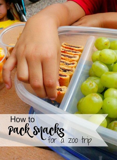 How to Pack Snacks for a Zoo Trip – Jordan's Easy Entertaining #ad Packed Lunch For Zoo Trip, Packing Lunch For Zoo Trip, Lunch Ideas For Zoo Trip, Snacks For Zoo Trip, Zoo Snack Ideas, Lunches For Zoo Trip, Zoo Day Lunch Ideas, What To Pack For Zoo Trip, Zoo Food Ideas