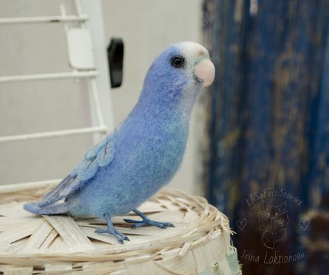 A cute blue parrot can be yours. It likes to sit in his hands and is waiting for his house. Such a parrot can be a great gift for a bird lover or take its rightful place in your collection. A parrot is not a taxidermy. And this is good, because a living bird will remain alive. A parrot made from 100% wool using the felting technique. Glass eyes in the paws of a wire frame. The size height 12cm Length 17 cm A parrot is available. Blue Parrot, Vintage Bird Cage, Robin Bird, Felted Animals, Felt Birds, Parrot Bird, Bird Ornaments, Bird Sculpture, Bird Lover