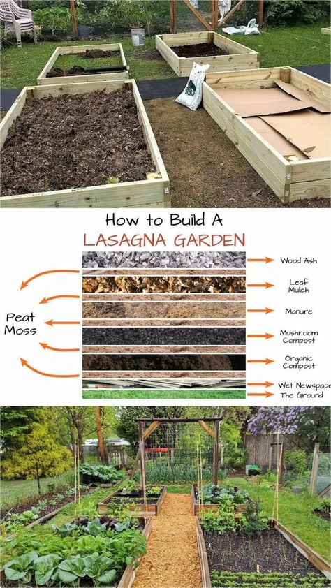 Manure Compost Bin, Worm Bins, Healthy Garden Soil, Diy Fertilizer, Leaf Mulch, How To Compost, Mushroom Compost, Compost Bin Diy, Lasagna Gardening