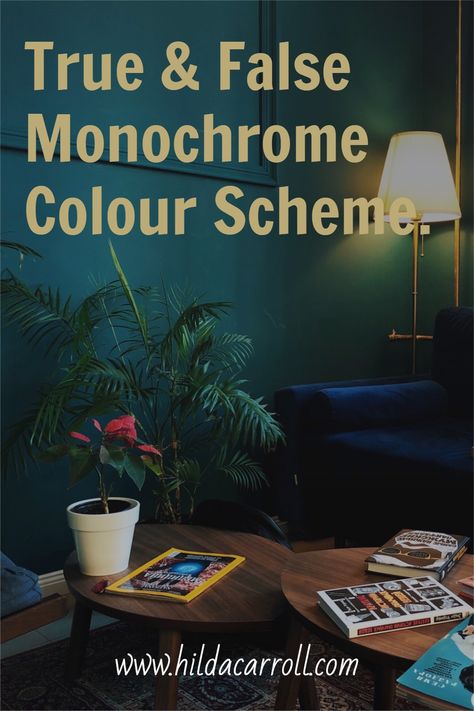 Monochromatic Scheme, Monochrome Kitchen, Monochromatic Room, Complimentary Color Scheme, Three Primary Colors, Interior Design Courses, Black And White Interior, Monochromatic Color Scheme, True False