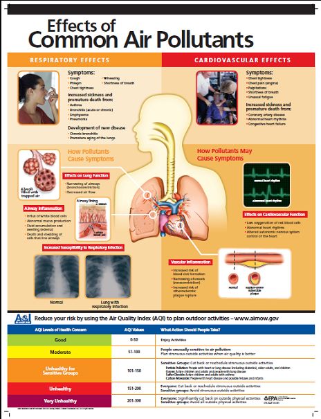 Different Types Of Pollution, Effect Of Air Pollution, Air Pollution Facts, Air Pollution Infographic, Effects Of Air Pollution On Human Health, Lung Disease, Shortness Of Breath, Patient Education, Cardiovascular Disease