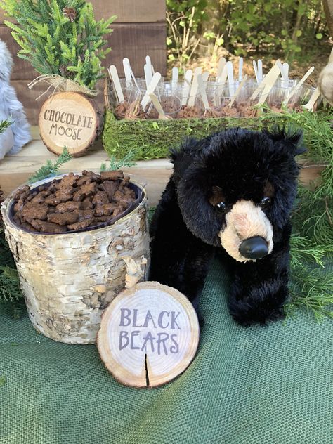 Black Bear Party Ideas, Forest Ranger Birthday Party, Woodland Themed 1st Birthday Boy, Moose Birthday Party, Woodland Theme Birthday Party Decor, Cabin Themed Party, Nature First Birthday Party, Hunting 1st Birthday Boys, Wild One Birthday Party Boys Woodland