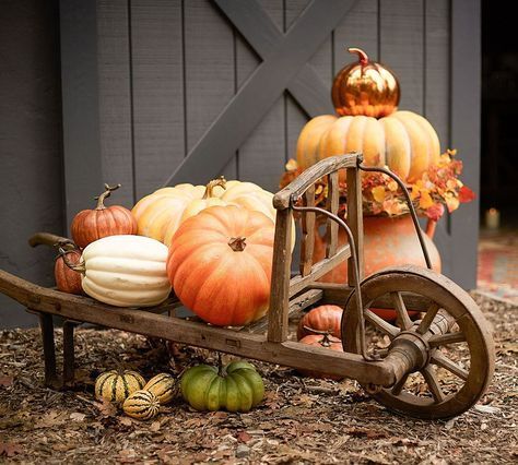 Pottery Barn Fall, Harvest Thyme, Cute Halloween Decorations, Wheel Barrow, Primitive Fall, Faux Pumpkins, Autumn Decorating, Fabulous Fall, Fall Porch