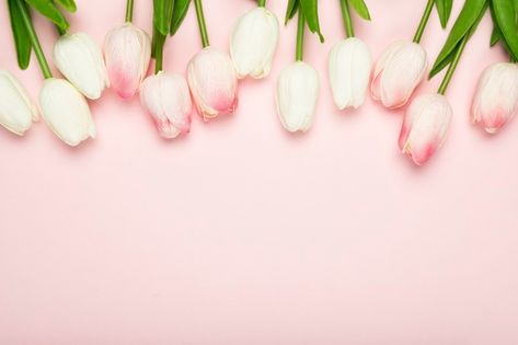 Blossom tulips aligned on table | Free Photo Flower Lockscreen, Green Wedding Bouquet, Flower Background Design, Fb Cover Photos, Wreath Drawing, Easter Wallpaper, Computer Wallpaper Desktop Wallpapers, Twitter Header Photos, Tulips In Vase