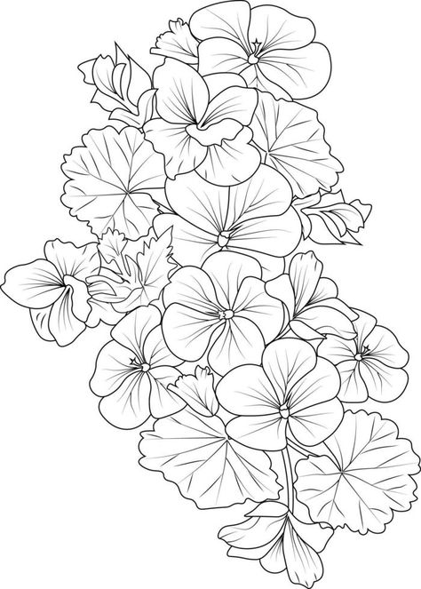 Set of a decorative stylized geranium flower isolated on white background. Highly detailed vector illustration, doodling and zen doodle style, tattoo design blossom pelargonium flowers. Geranium Flower Tattoo Design, Geranium Tattoo Design, Pelargonium Tattoo, Geranium Tattoo Black And White, Geranium Flower Tattoo, Geranium Drawing, Geranium Tattoo, Flower Tattoo Stencil, Grandma Tattoo