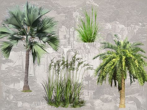 The Sims 4 Cc Plants, Sims 4 Tropical Cc, Halloween Bedroom, Cc Sims, Real Plants, The Sims Resource, Sims Resource, Tropical Plants, Featured Artist