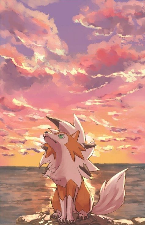 Lycanroc Dusk, Hanta Sero, A Rock, Pokemon, Fox, On Twitter, Twitter, Pink, Pokémon