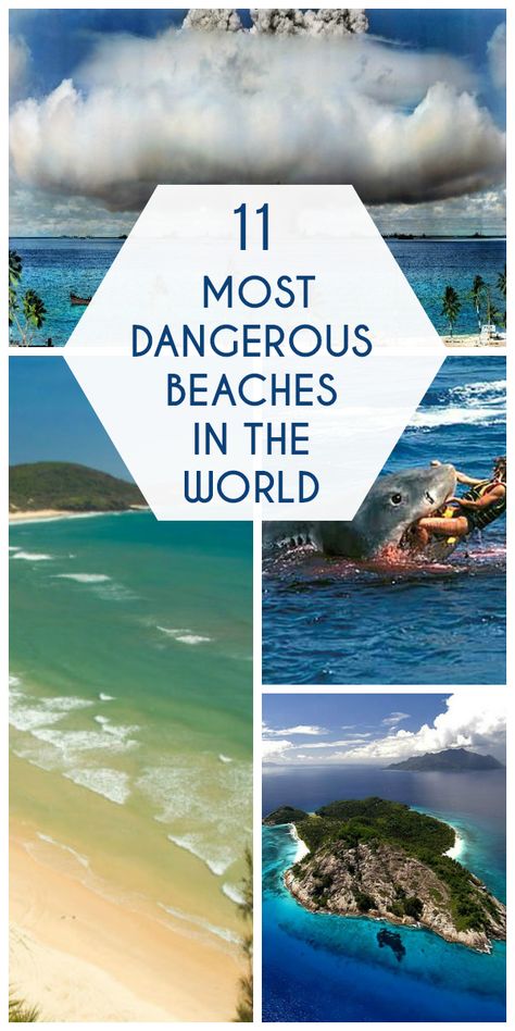 11 Most Dangerous Beaches in the World Canada Travel Guide, Travel Captions, Fraser Island, New Smyrna Beach, Go To The Beach, Beaches In The World, World Photo, Crocodiles, Paradise Island