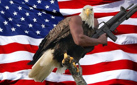 This picture has been around for a long time. I wonder if it is what inspired the 'Birds With Arms' series? Fourth Of July Pics, America Core, 4th Of July Pics, 4th Of July Images, July Images, 4th Of July Photos, America Funny, Usa Eagle, America Memes