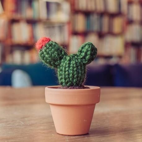 Crochet Cactus: The 25 Best Patterns - Derpy Monster Crochet Tiny, Crochet Succulent, Tiny Cactus, Cactus Pillow, Cactus Types, Crochet Cactus, Prickly Pear Cactus, Crochet Plant, Crochet Stitches For Beginners