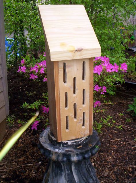 How to Build a Butterfly House Butterfly Feeders, Butterfly Feeder, Hummingbird House, Bat House, Butterfly Houses, Insect Hotel, Bird House Plans, Bird House Kits, Bird Aviary