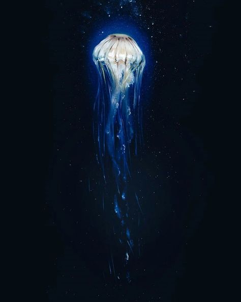 Jelly Fish Oil Paint, Glowing Jellyfish Painting, Jellyfish Oil Painting, How To Paint A Jellyfish, Jellyfish Art Acrylic, Jellyfish Painting Acrylic Easy, Jelly Fish Painting Acrylic, Sky Jellyfish, Jellyfish Painting Acrylic