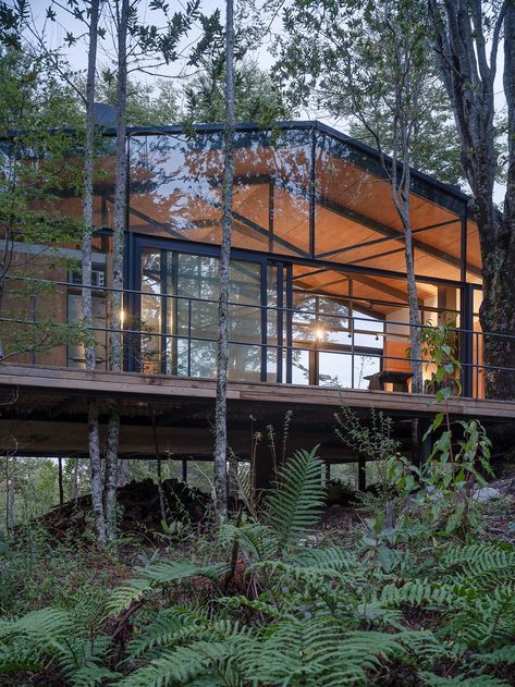 Modern Cabin In The Woods, Writers Room, Eco Pods, Cabin Building, Eco Cabin, Glass Cabin, Luxury Architecture, Pine Lake, Metal Siding