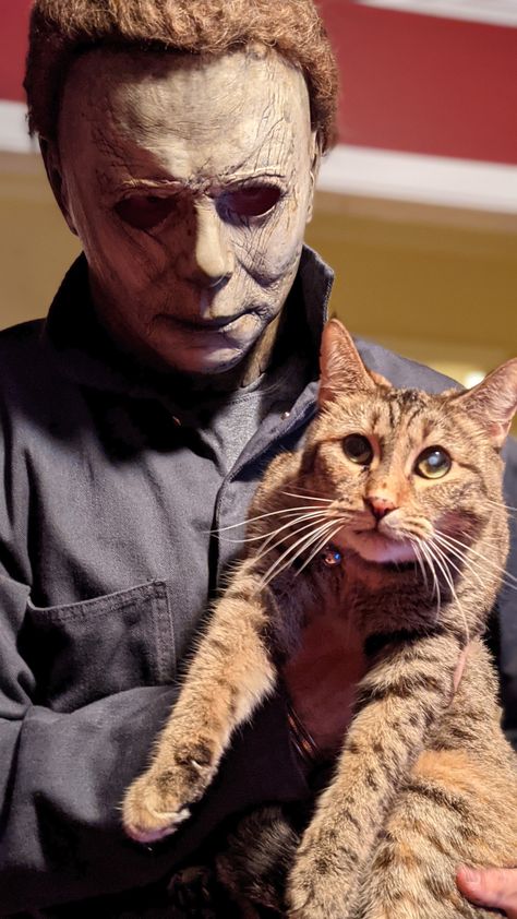 Happy Michael Myers Monday🔪 Enjoy some wholesome Michael with his cats. Been a busy few weeks with @emilynigma and I moving in... Michael Myers Memes, Michaels Halloween, Halloween Horror Movies, The Boogeyman, Michael Myers Halloween, Horror Icons, Horror Movie Characters, Horror Characters, Michael Myers