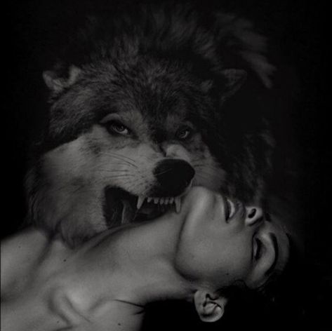 Robin Isely, Werewolf Aesthetic, Wolves And Women, Wolf Face, Wolf Quotes, Wolf Spirit Animal, Werewolf Art, Dark Love, Wolf Wallpaper