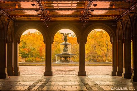 Bethesda Fountain Central Park, New York Places, Bethesda Terrace, Bethesda Fountain, My Hood, I Love Nyc, Manhattan Skyline, Maternity Photography Poses, Chrysler Building