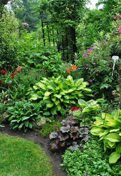 Shade Garden Design, Shade Garden Plants, Hosta Gardens, Garden Shrubs, Have Inspiration, The Secret Garden, Woodland Garden, Garden Borders, Plants And Flowers