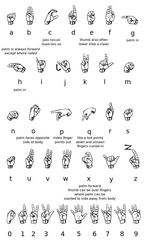 Learn Sign Language Free, Sign Language Basics, Simple Sign Language, Sign Language Chart, Sign Language For Kids, Sign Language Lessons, Sign Language Phrases, Alphabet Signs, Sign Language Interpreter