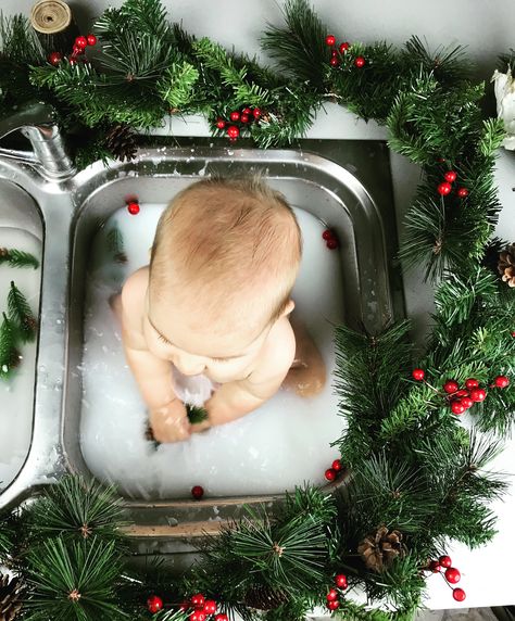 Baby Milk Bath Pictures, Milk Bath Pictures, Baby Holiday Photos, Baby Milk Bath, Baby Christmas Photography, Bath Pictures, Christmas Baby Pictures, Milk Bath Photography, Baby Milestones Pictures