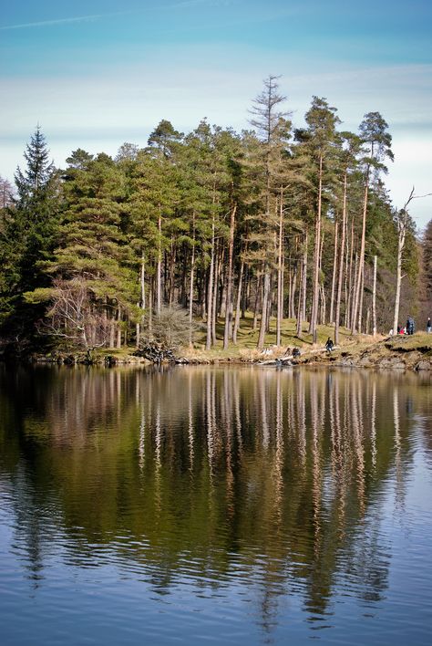 Lake District, Lake, Photographer, For Sale, Water