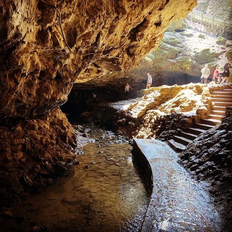 Maquoketa Caves State Park- camping available Iowa Road Trip, Iowa Travel, State Park Camping, Utah Vacation, Places Worth Visiting, Wisconsin Travel, Vacation Usa, Travel Outdoors, Christmas Travel