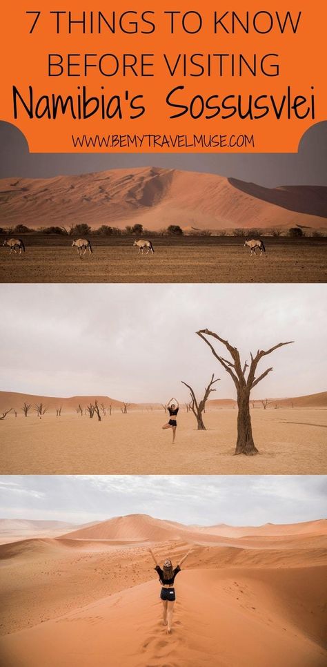 A Guide to Namibia's Gorgeous Sossusvlei Sossusvlei Namibia, Africa Itinerary, Namibia Travel, Beautiful Countries, Africa Travel Guide, Africa Destinations, Family Vacation Destinations, Africa Safari, Come With Me