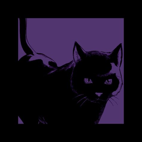 Purple Aesthetic Background, Dark Purple Wallpaper, Violet Aesthetic, Purple Vibe, Dark Purple Aesthetic, Purple Themes, A Black Cat, Purple Cat, Purple Background