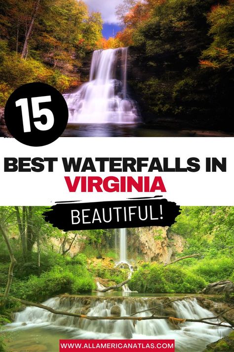 Best waterfalls in Virginia Virginia Waterfalls, Waterfall Park, New River Gorge, Virginia Travel, Shenandoah National Park, Fun Places To Go, New River, Beautiful Forest, What To Pack