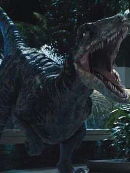 Echo raptor she of his friends blue and delta and charlie and male and female velociraptor and macho velociraptor and femea his raptor hakuna matata but he she from mrs moynihan lighthouse island of she be good guy Jurassic World Raptors, Blue Jurassic World, Jurassic Park Film, Jurassic World Evolution, Jurassic World 2015, Jurassic Period, Jurassic Park 1993, Dinosaur Photo, Jurassic Park Movie