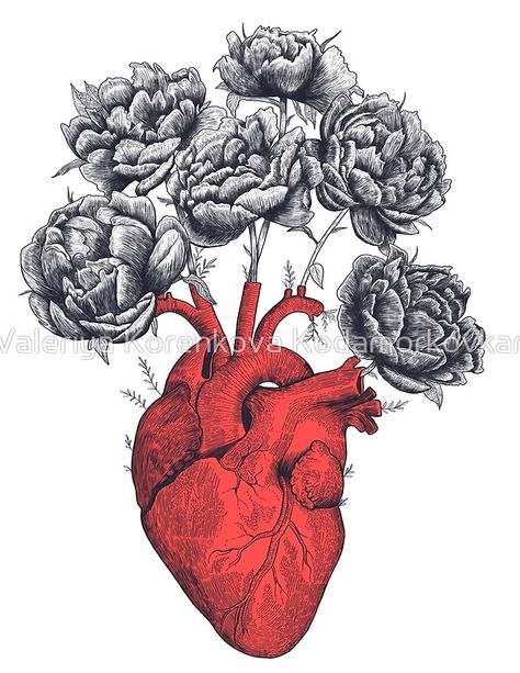 Heart with peonies Anatomical Heart Art, Peonies Art Print, Heart Artwork, Peony Art, Heart Art Print, Arte Van Gogh, Heart Drawing, Medical Art, Anatomical Heart