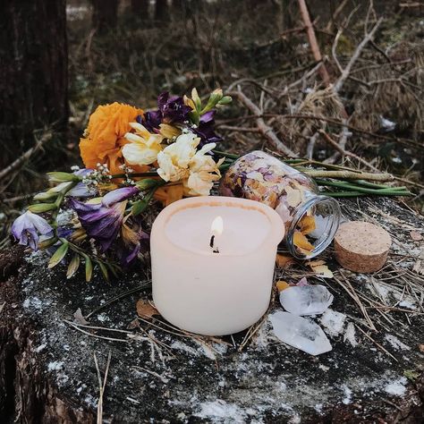 )O( Witchcraft Stuff, Witchy Business, Herbal Witch, Celtic Druids, Nature Witch, Witchy Aesthetic, Vernal Equinox, Sacred Spaces, Spring Equinox