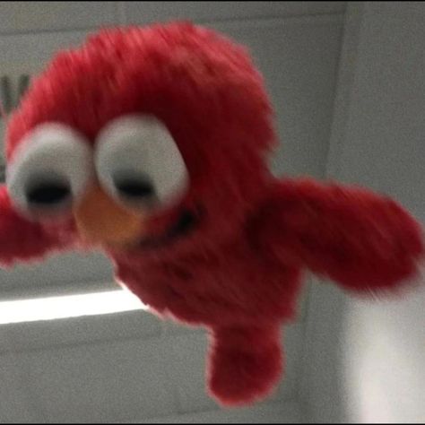 Cursed Elmo, Elmo Pictures, Elmo Videos, Elmo Memes, Cookie Monster Wallpaper, Elmo Wallpaper, Pink Floyd Art, Elmo World, Elmo And Cookie Monster